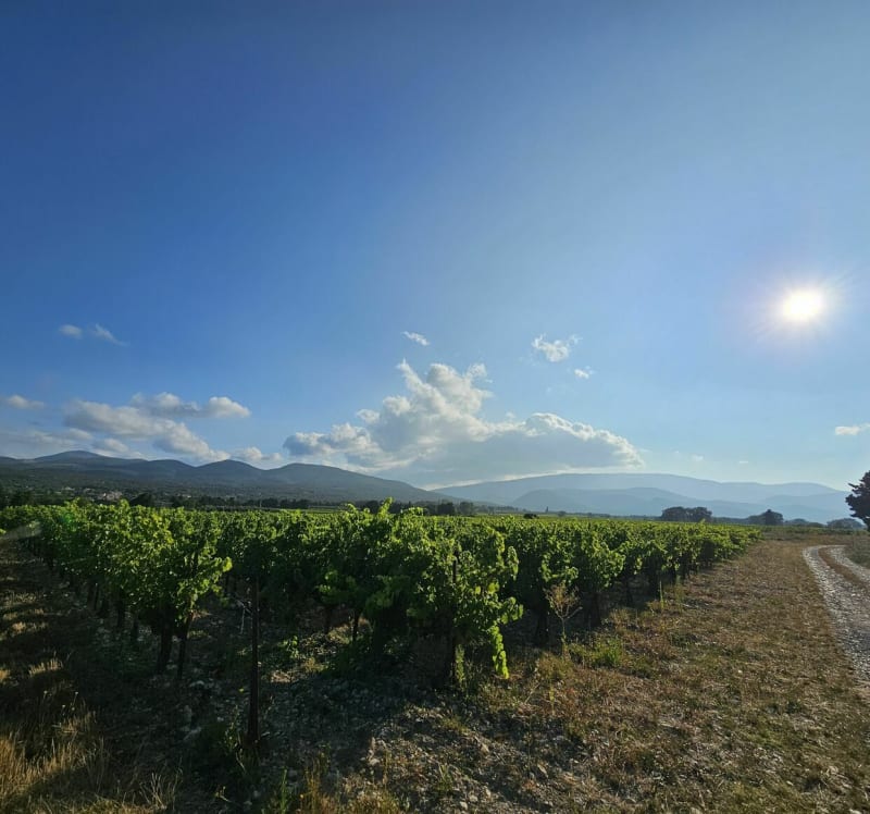 Randonnée à Taulignan par Faujas - Taulignan
