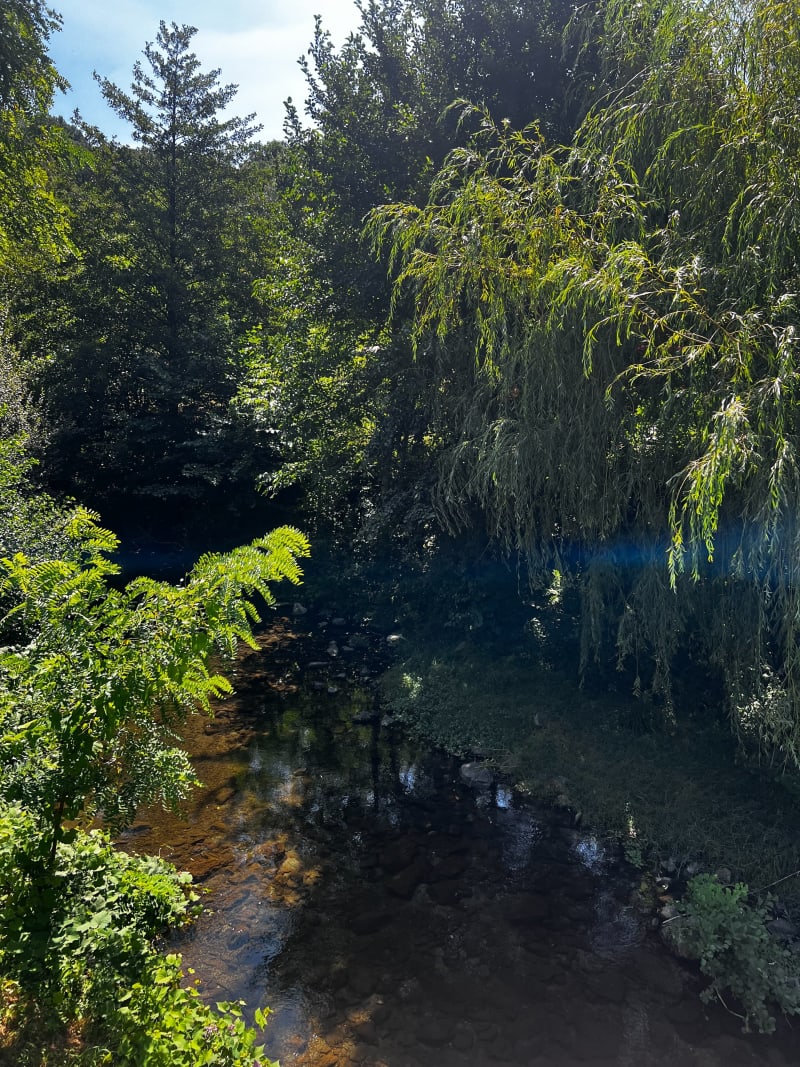 Promenade autour de Plaisance et St Geniès - Saint-Génies-de-Varensal