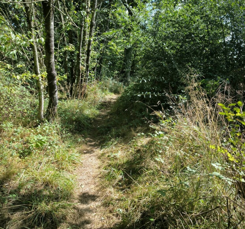 Circuit du pont Rozel - Breteil