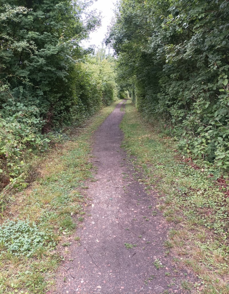 Petite balade dans la campagne bruaysienne - Bruay-la-Buissière