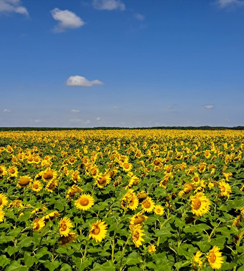Boucle des Gombries depuis Sennevières - Chèvreville