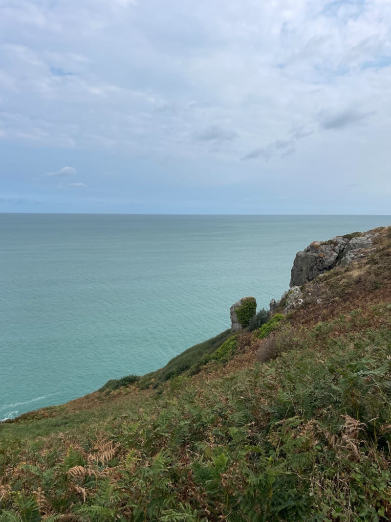 Entre la Plage de Béliard et la Plage de Jospinet - Lamballe-Armor