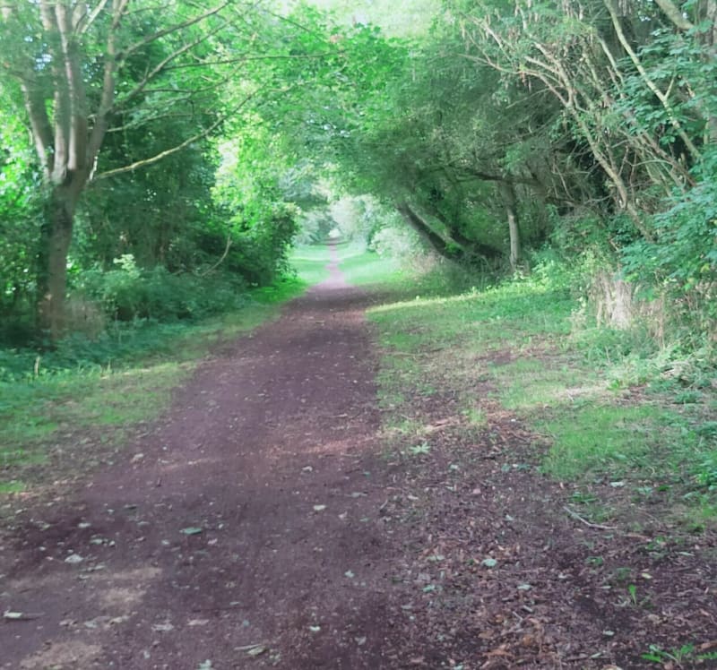 Marche entre Haisnes et Auchy-les-Mines - Haisnes