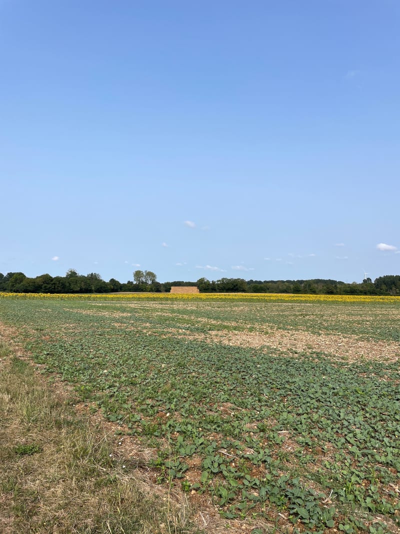 Balade entre champs et La Boutonne - Voissay