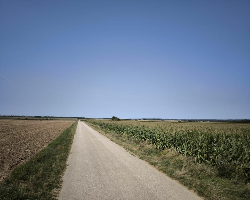 Allée Royale en A/R - Fontenay-le-Fleury
