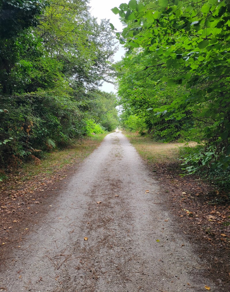 Boucle en foret sur Issac - Saint-Médard-en-Jalles