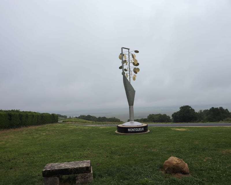 Randonnée Montgueux-Mesnil Vallon-Macey - Montgueux