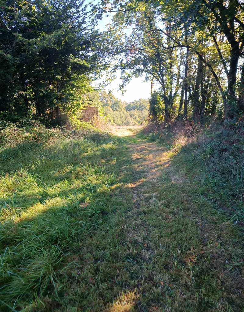 Celle-Lévescault à l'essentiel - Celle-Lévescault