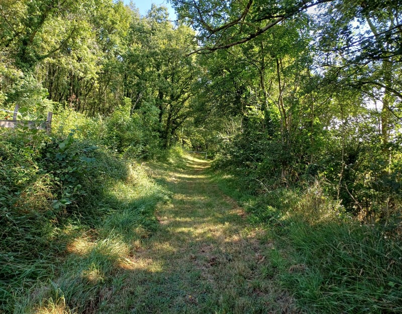 Petite boucle au départ de Vaux - Jalogny