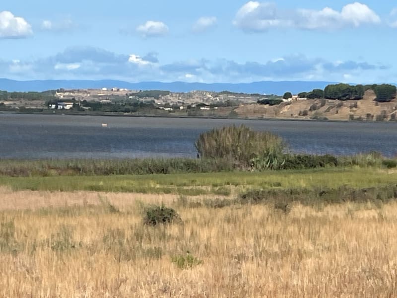 Étang de Vendres - Lespignan