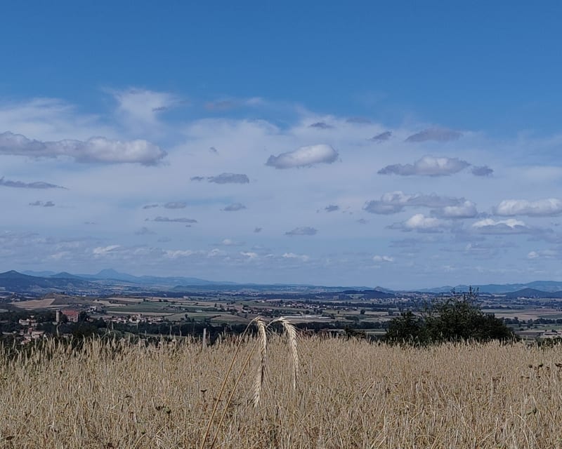 De la Visitation à la route d'Entremont - Brioude