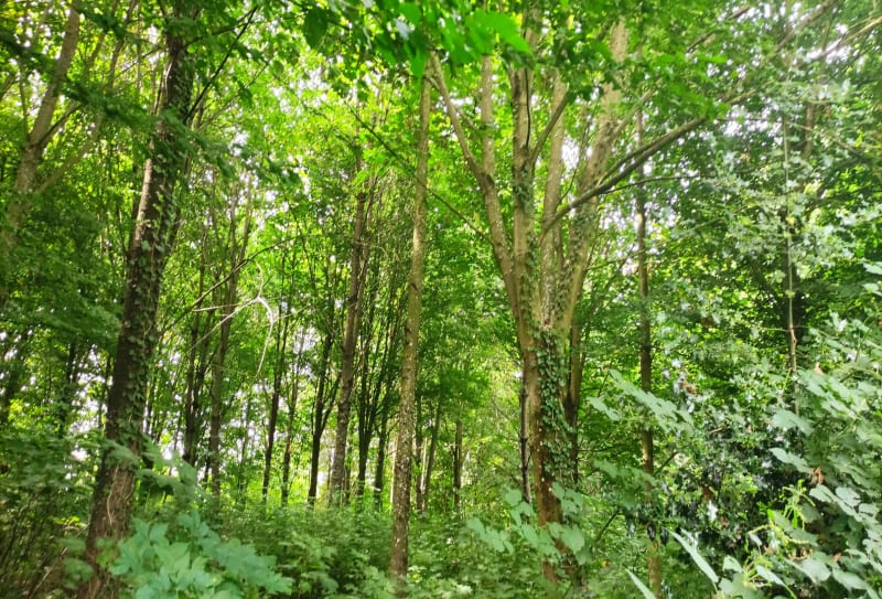 Boucle à vélo au sud d'Amiens - Bacouel-sur-Selle