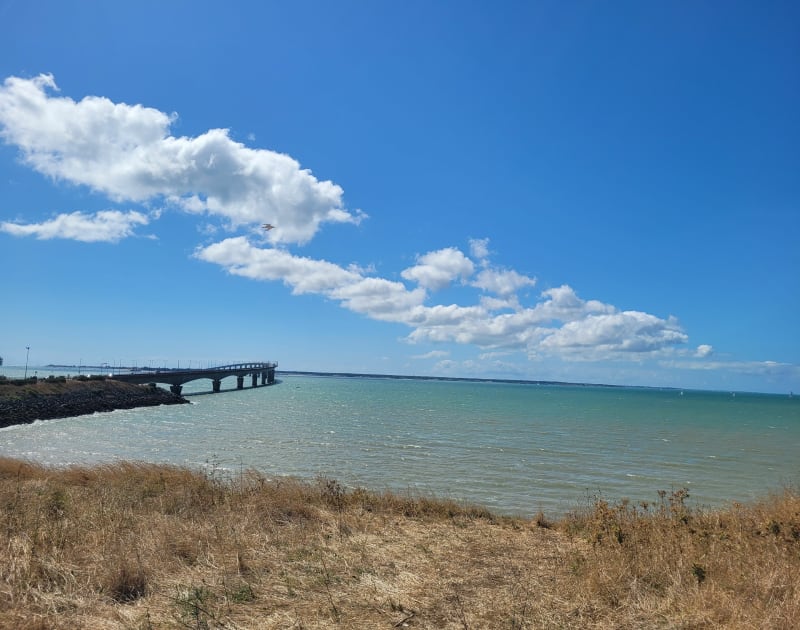 Petite rando entre mer et marais depuis La Rochelle - La Rochelle