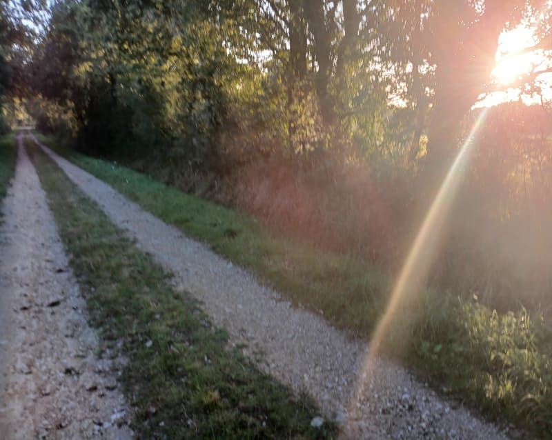 Campagne et bord de mer à St-Brevin-les-Pins - Saint-Brevin-les-Pins