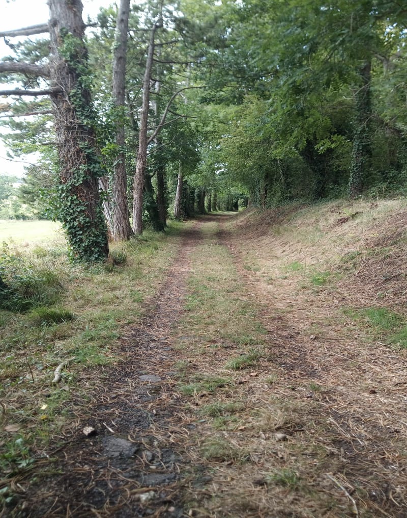Randonnée à Villiers le Sec - Creully sur Seulles
