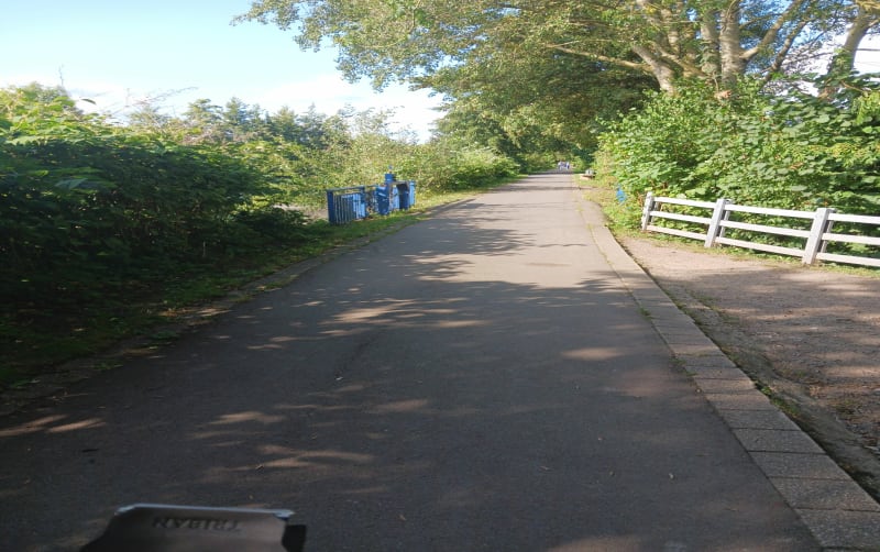 Chemin du halage vers Lambres-lez-Douai - Férin