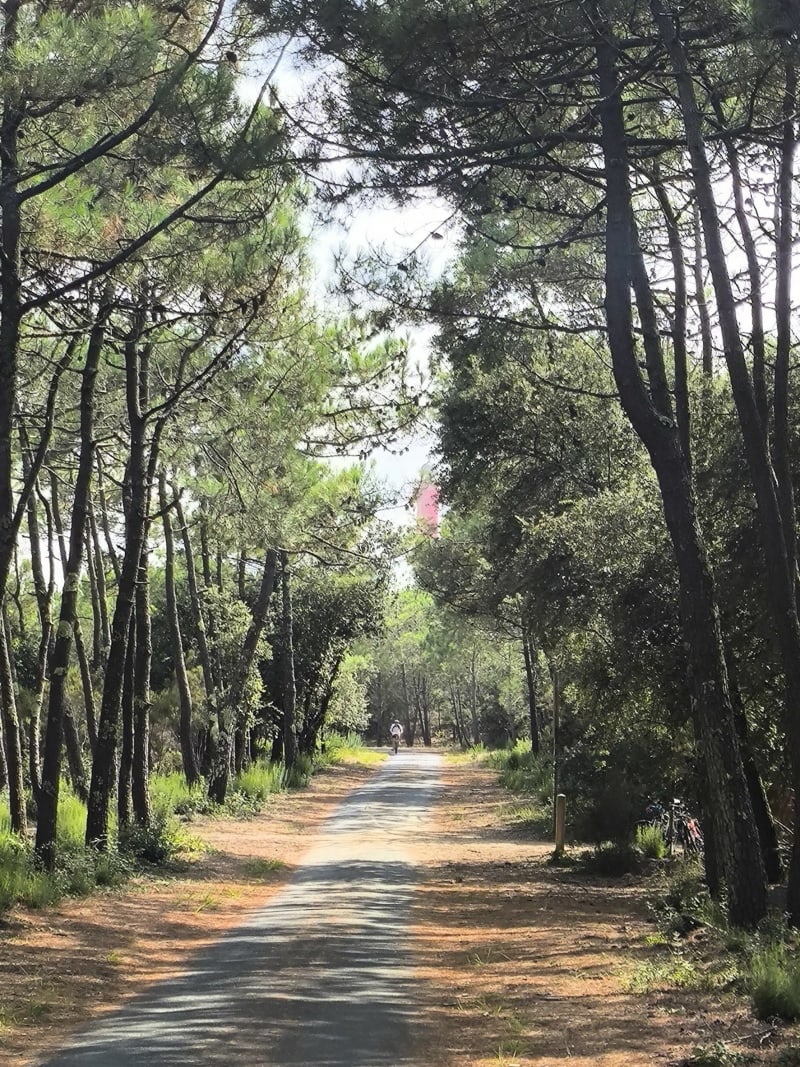 Phare de la coubre - La Tremblade