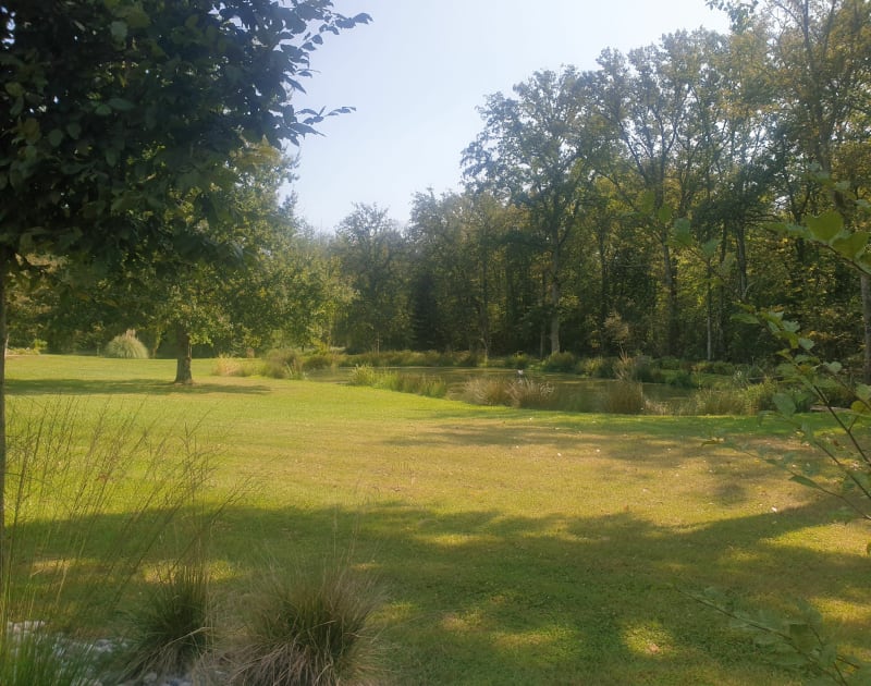 Boucle autour de Nançay - Nançay