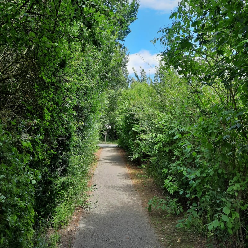 Petite boucle en Val de Choisille - Saint-Cyr-sur-Loire