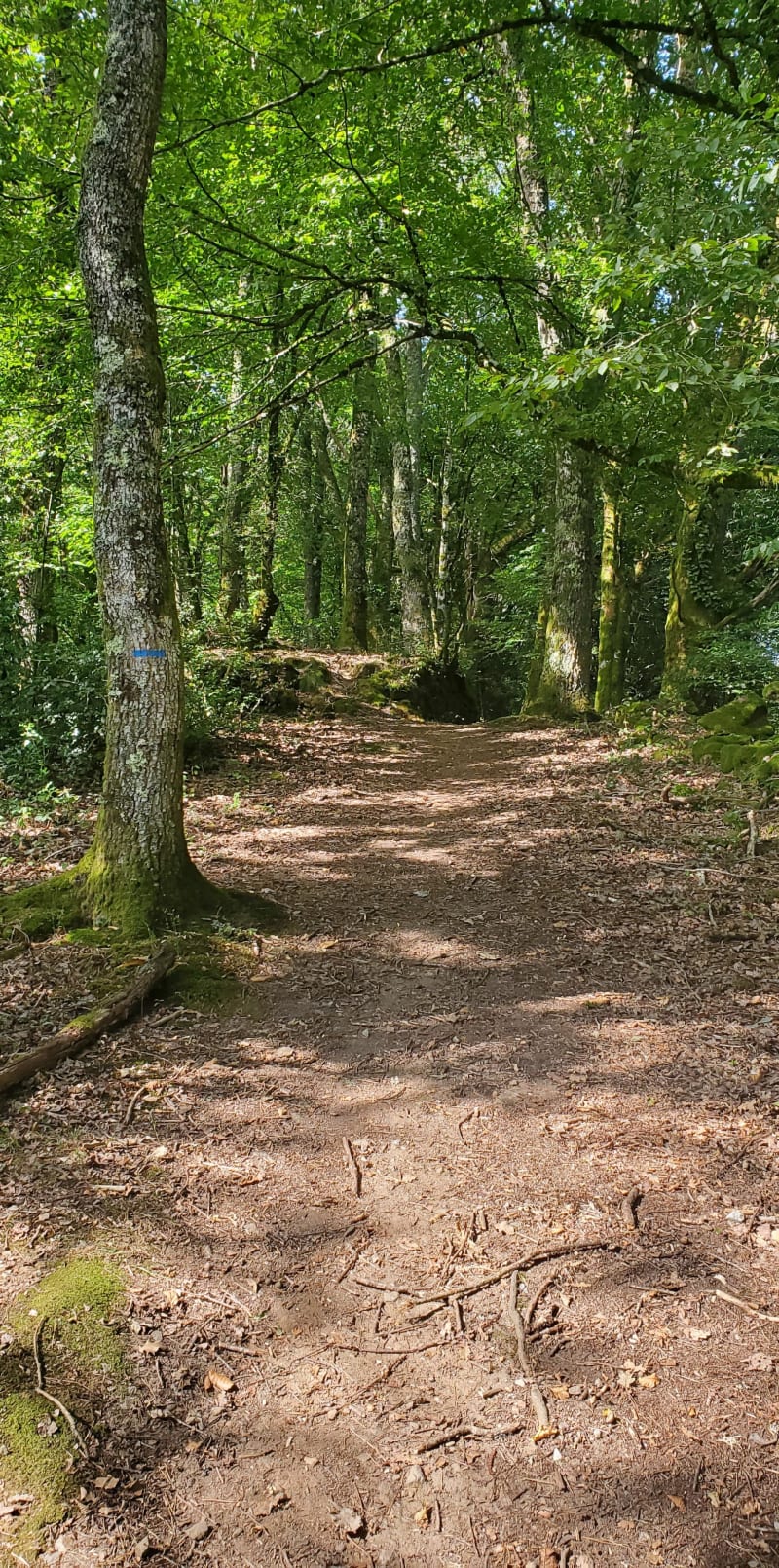 Belvédère de l'Echamel - Laval-sur-Luzège