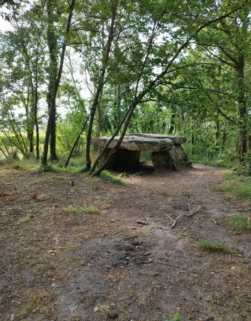 Autour de Chemellier et Butte de la Dorette - Chemellier