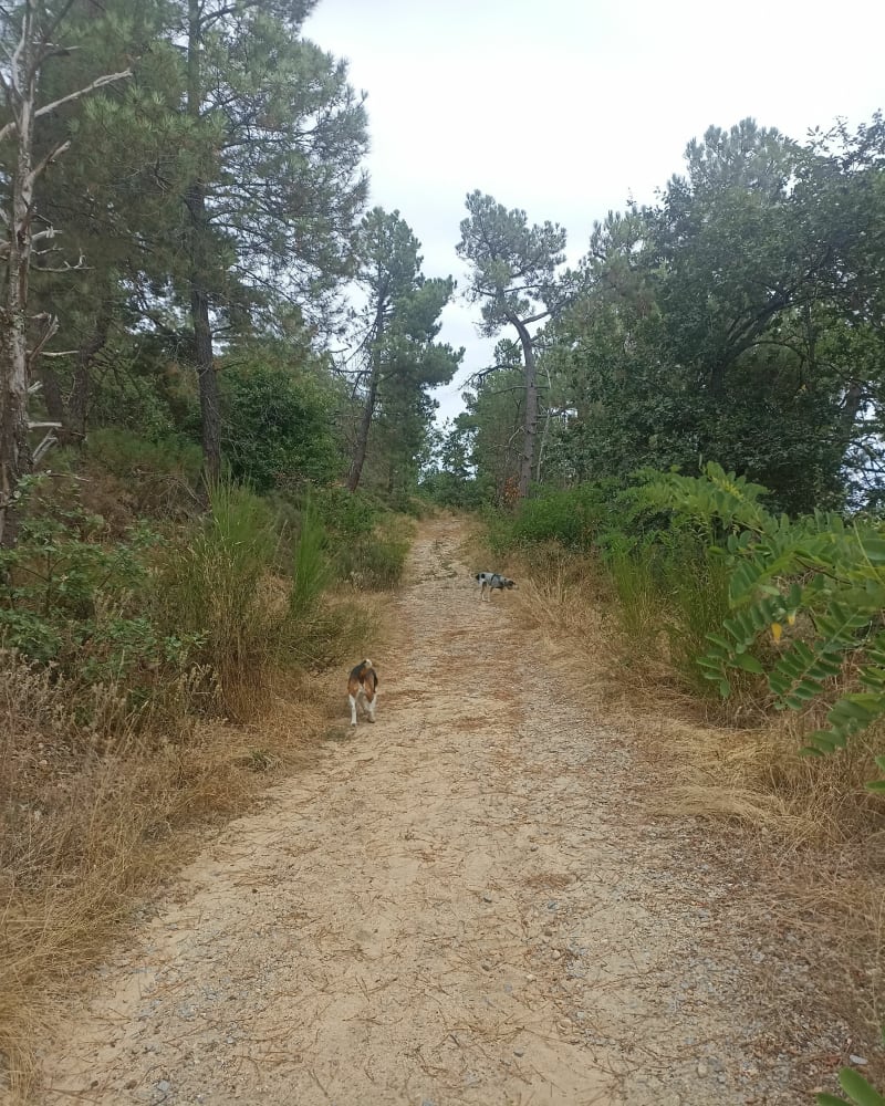 Les chemins  de la Madone - Boulieu-lès-Annonay