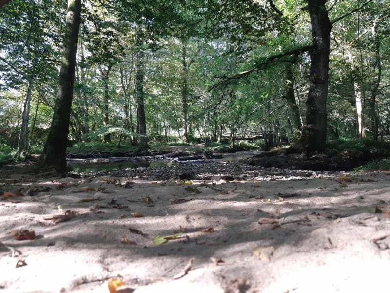 Camping le Chambon vers les bois et Marsac - Eymouthiers