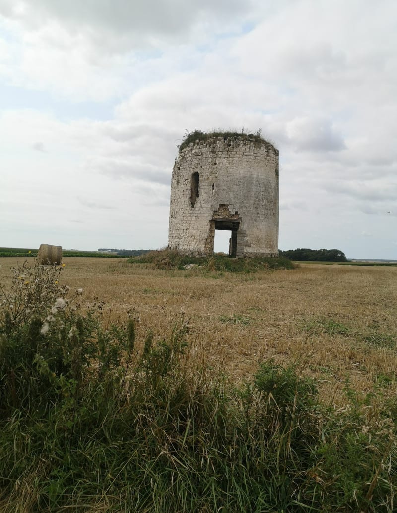 La vallée du bras de Brosne - Humbert