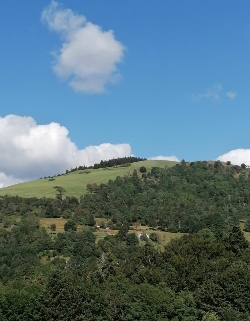 Balade à vélo autour du Ménil - Le Menil