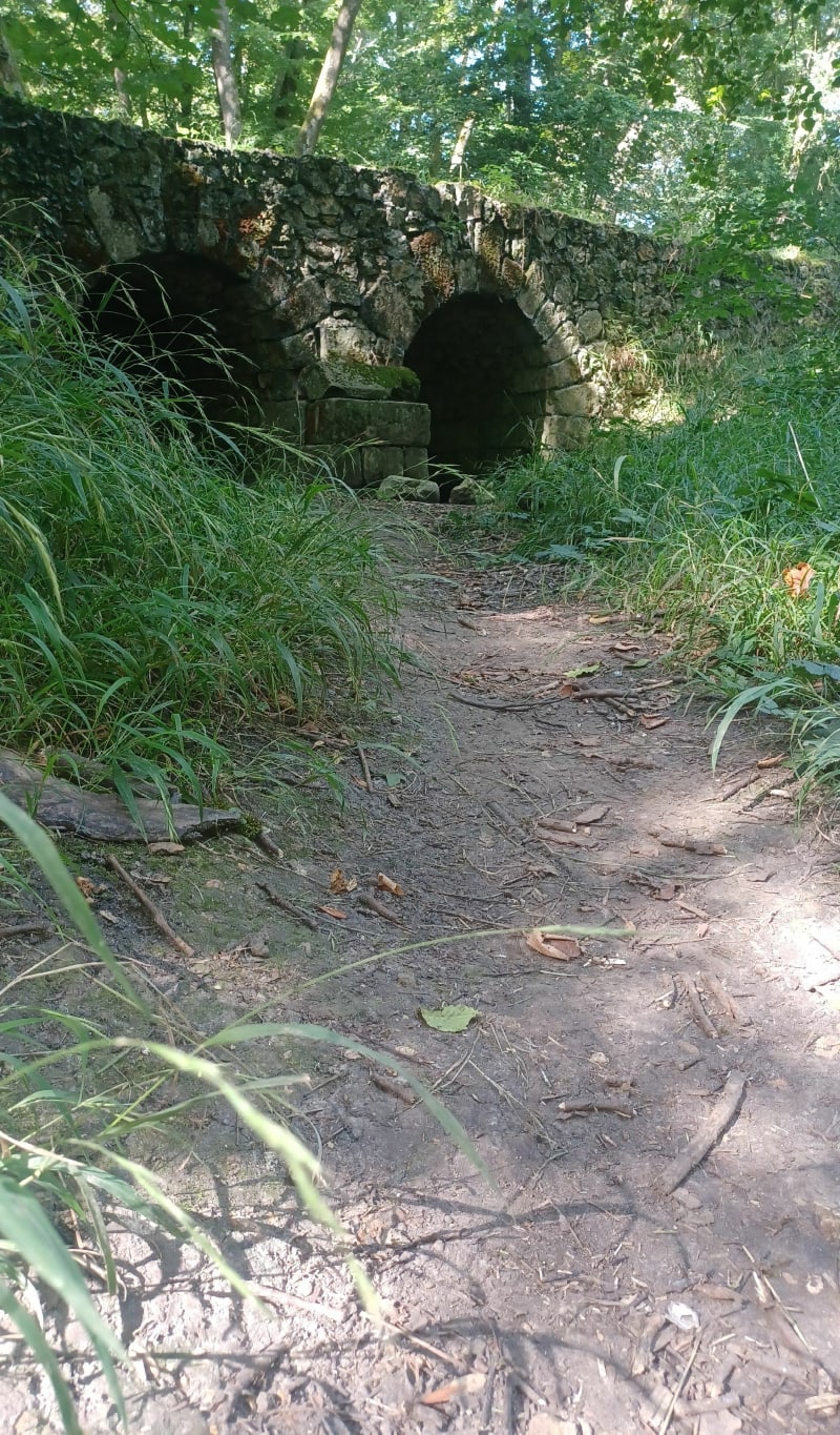 Longjumeau  > orsay > saules chartreux  > bois templier - Longjumeau