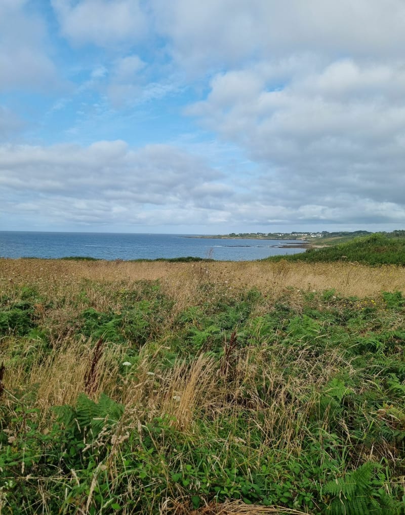 Boucle Aber de Merrien au départ de kervaziou - Moëlan-sur-Mer