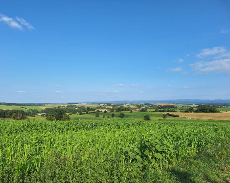 Marche en pleine campagne autour d'Hablainville - Hablainville