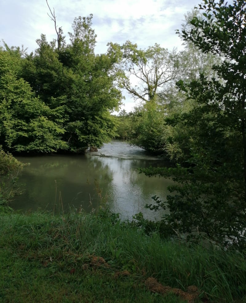 De Petit Chemin à Valloires - Dominois