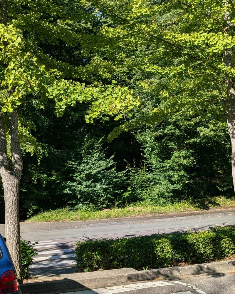 Balade sympa en forêt d'Evreux - Évreux