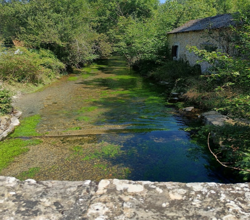 Aux sources du Dourzon - Nant