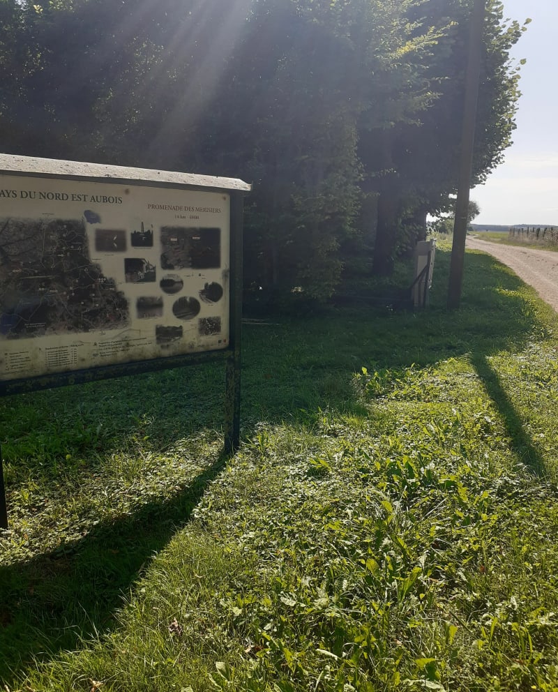 Plaine de la Rothière - La Rothière