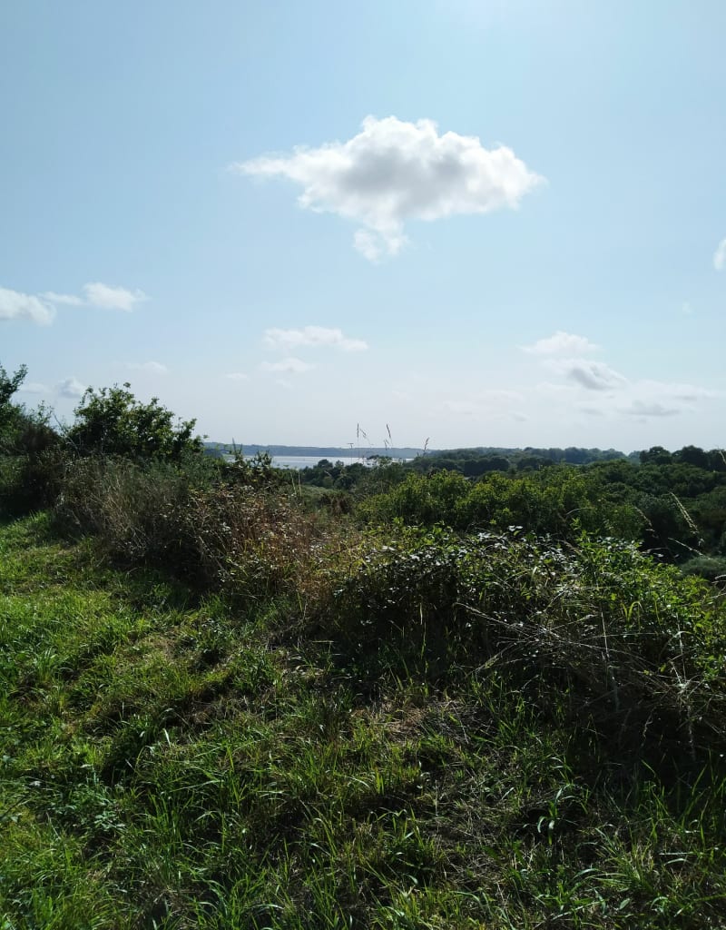 Balade arzalaise entre sentier botanique et La Vilaine - Arzal