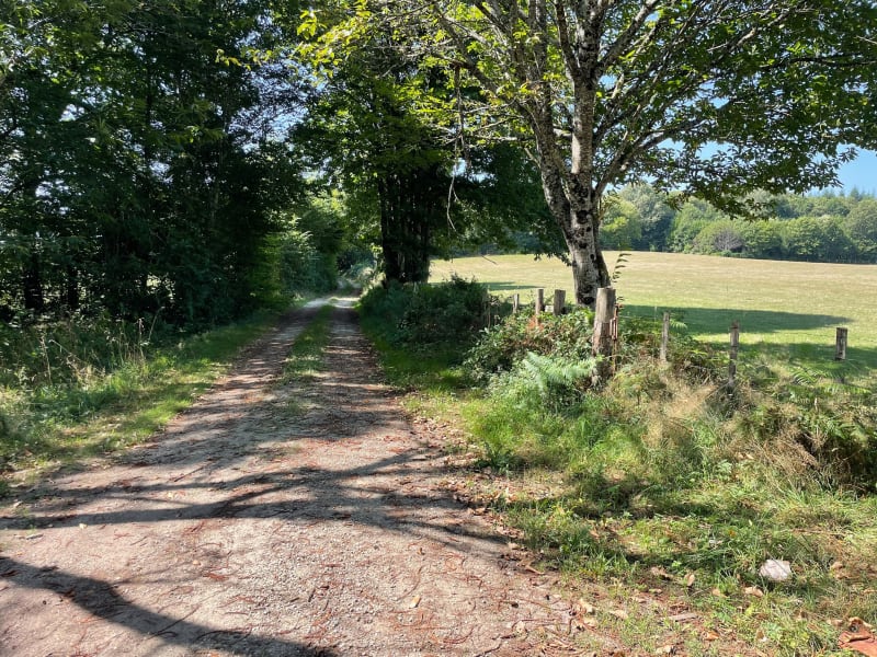 Entre lande et étang - Château-Chervix