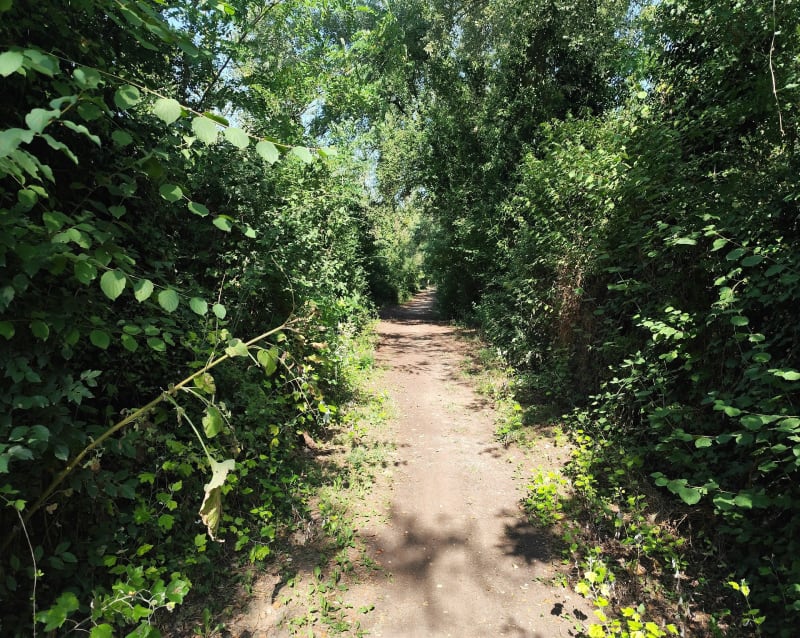 Balade à vélo le long du canal avec partie boisée - Villeurbanne