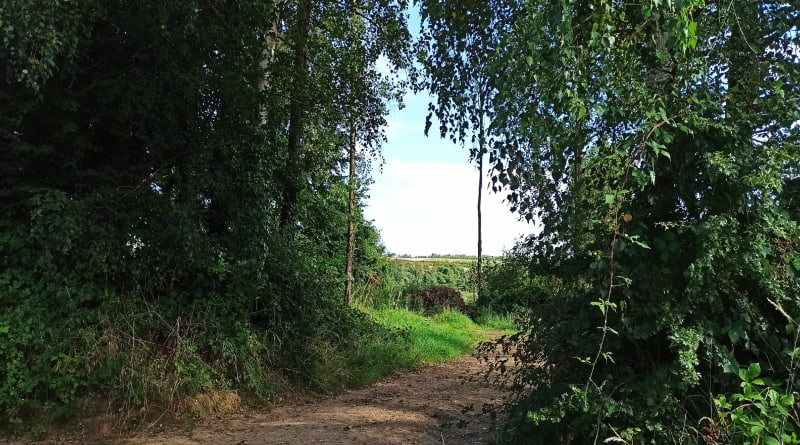 Boucle depuis Vaudringhem avec 80% de chemins - Vaudringhem