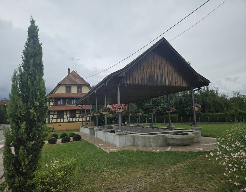 Promenade aux alentours de Balschwiller - Balschwiller