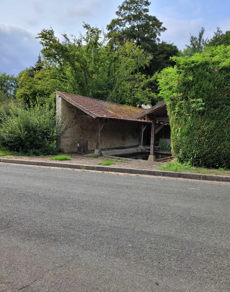 Balade tranquille dans la forêt à Villers en Arthies - Villers-en-Arthies