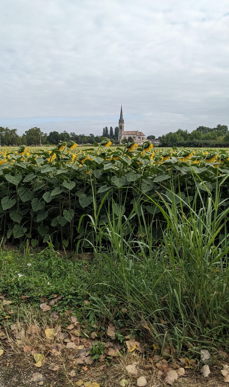 Entre Saint-Pardoux-du-Breuil et Taillebourg - Saint-Pardoux-du-Breuil