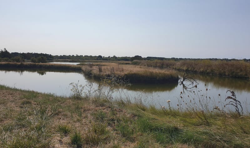 Port Bourgenay - Richard Cœur de Lion - Talmont-Saint-Hilaire