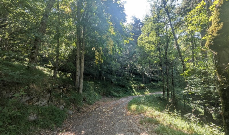 Moulinet en forêt - Moulinet