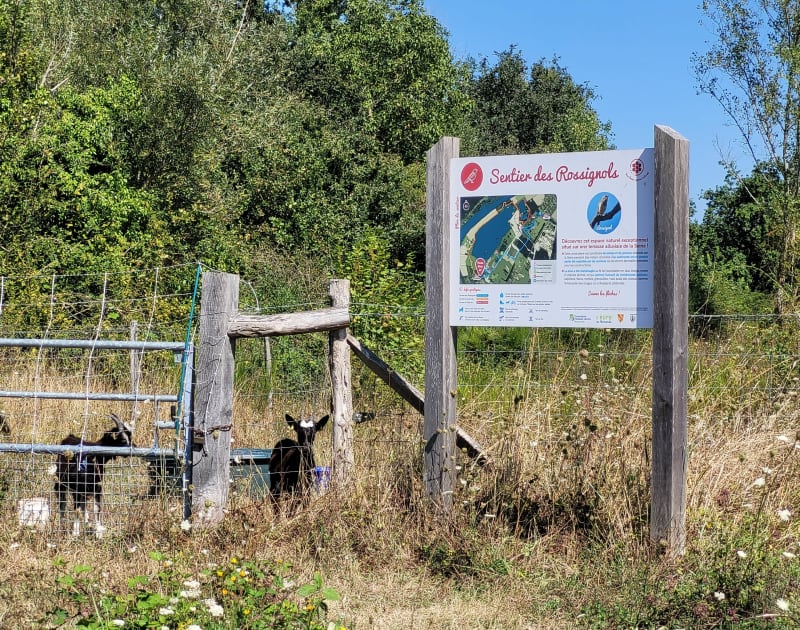 Balade au départ de Courcelles-sur-Seine - Courcelles-sur-Seine