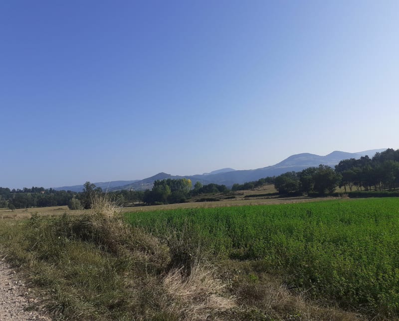 Entre Layoûte et Saint-Vincent - Lavoûte-sur-Loire