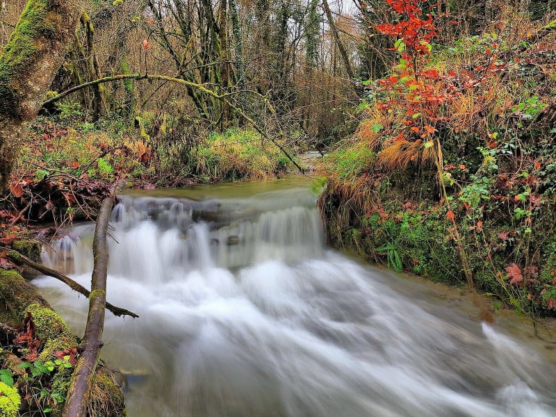 Ruisseau du Val d'Anchet - Malans