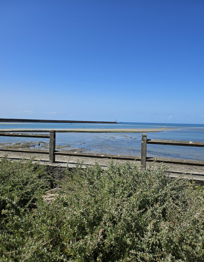 La pointe de pen bron - La Turballe
