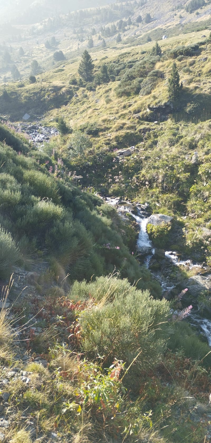 Petit Puigmal de Sègre - Err